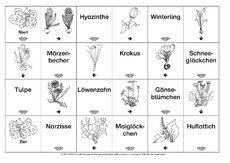 Domino-Frühlingsblüten-1-SW.pdf